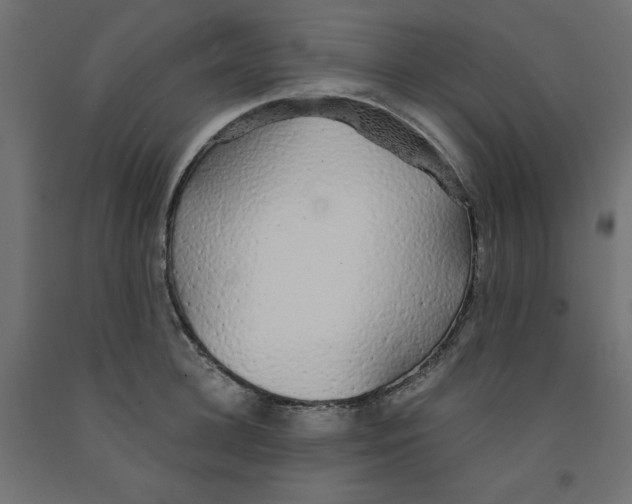 X0000091860948200710031658