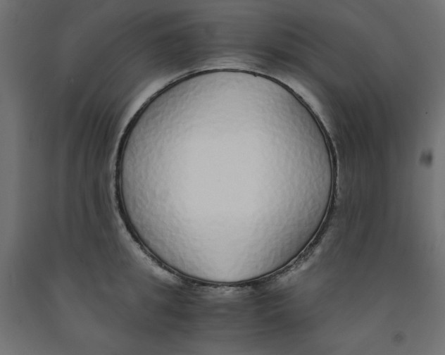 X0000091860949200710031658