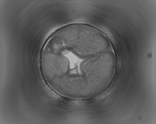 X0000091860950200710031658