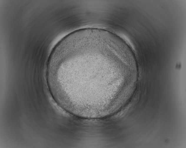 X0000091860952200710031658