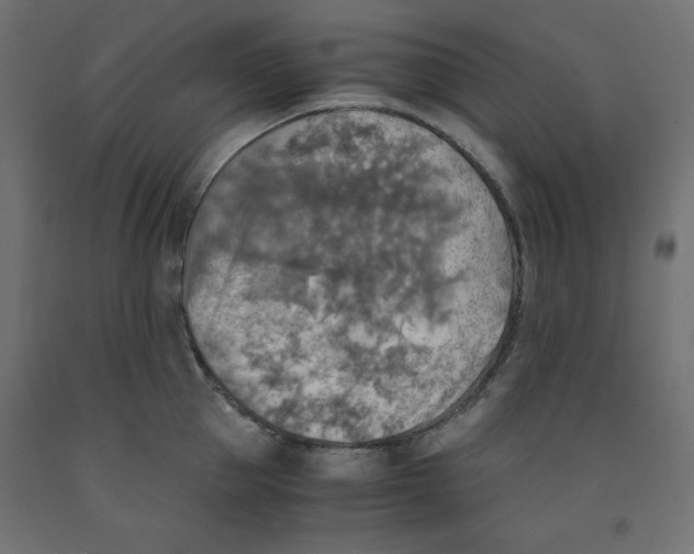 X0000091860953200710031658