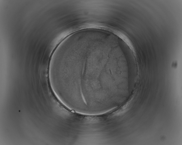 X0000091860954200710031658