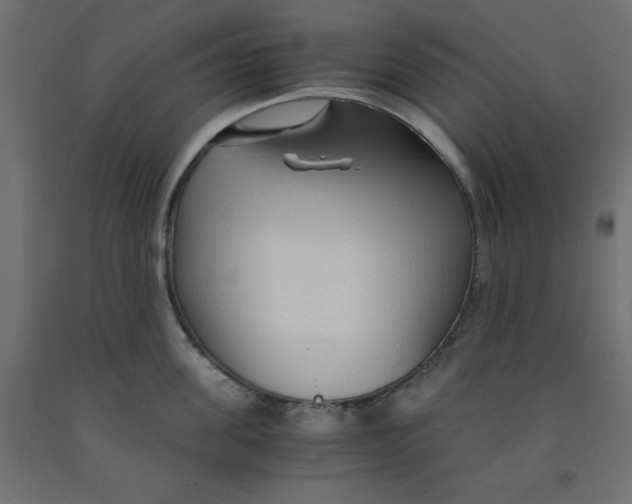 X0000091860955200710031658