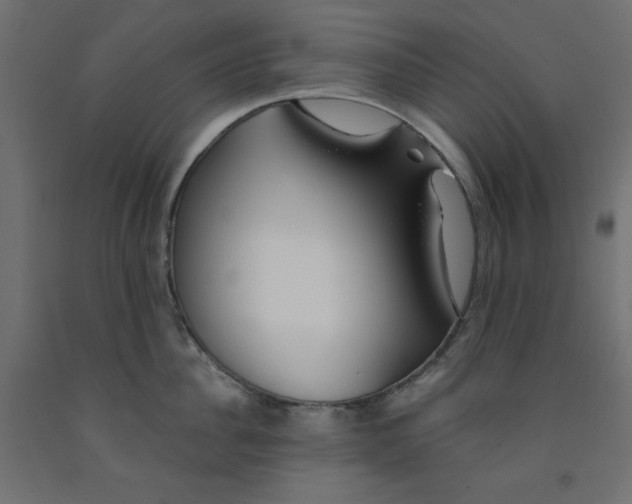 X0000091860956200710031659