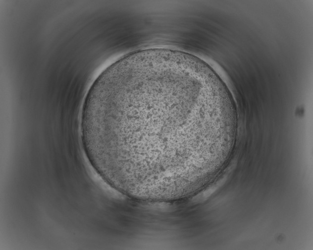 X0000091860957200710031659