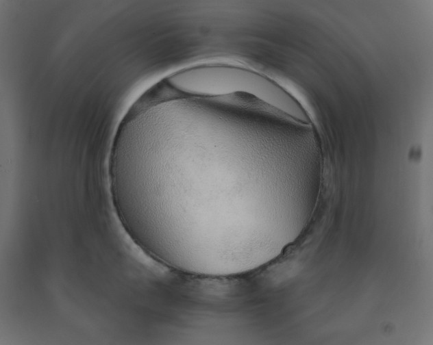 X0000091860959200710031659