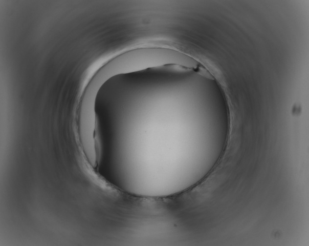 X0000091860960200710031659