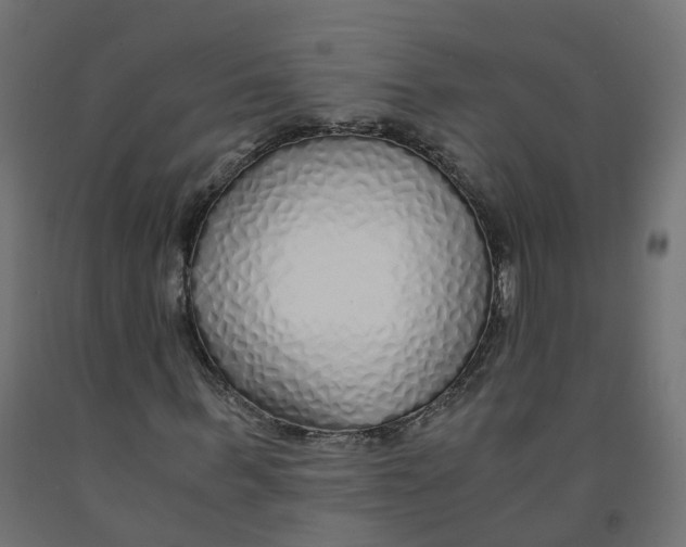 X0000091860963200710031658