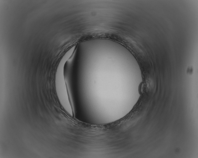 X0000091860964200710031658