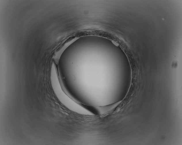 X0000091860965200710031658