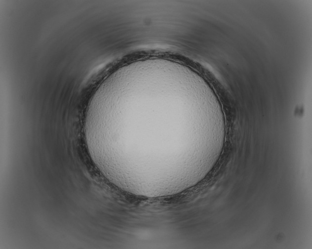 X0000091860967200710031658