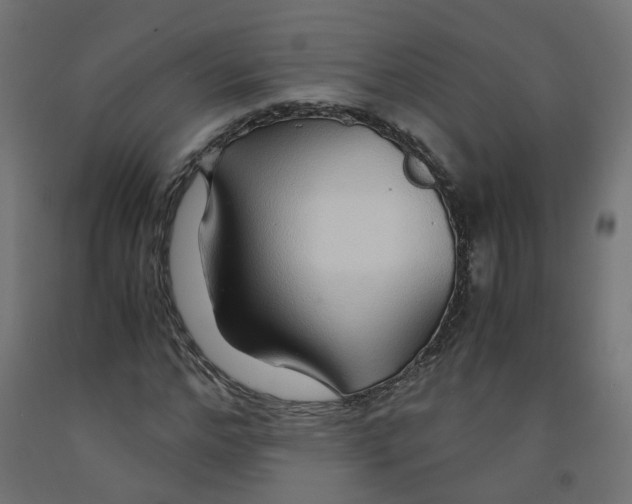 X0000091860968200710031658