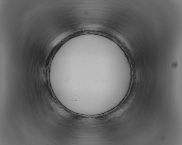 X0000091860970200710031658