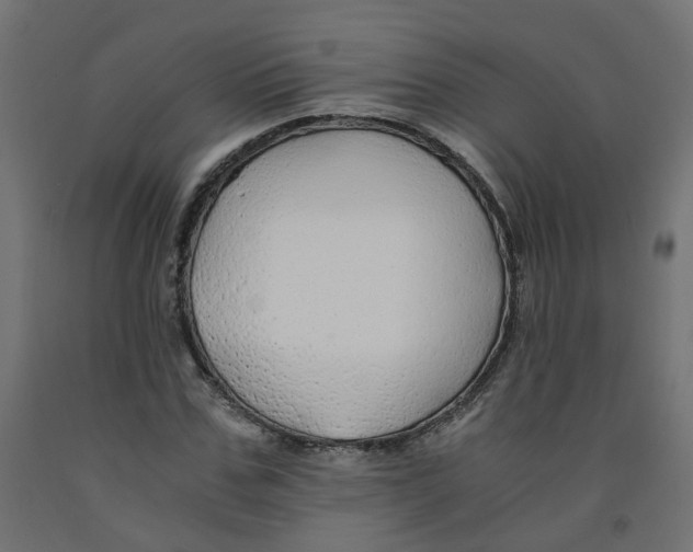 X0000091860971200710031658