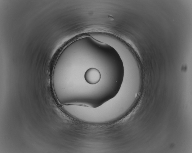 X0000091860973200710031658