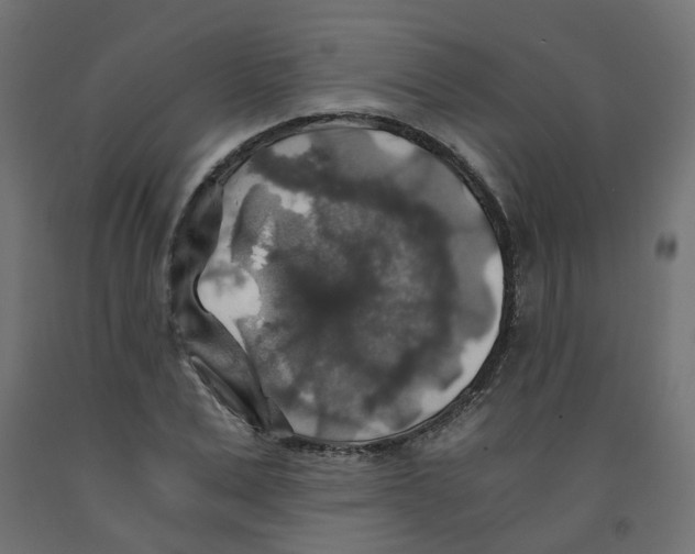 X0000091860975200710031658