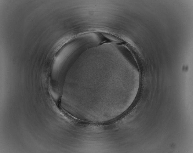 X0000091860977200710031658