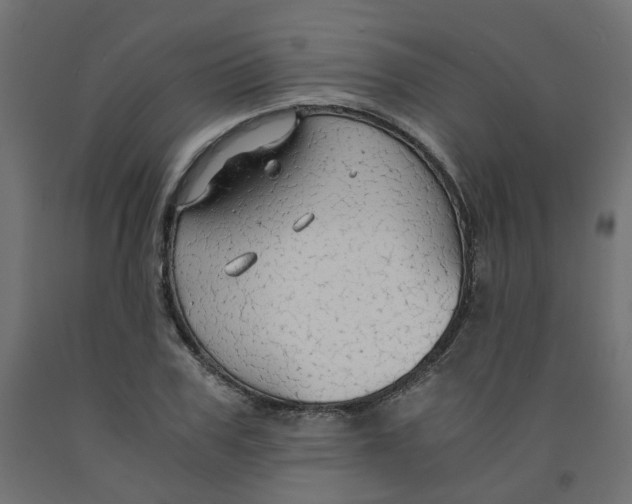 X0000091860979200710031658