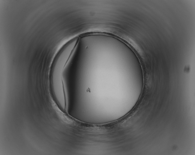 X0000091860980200710031658