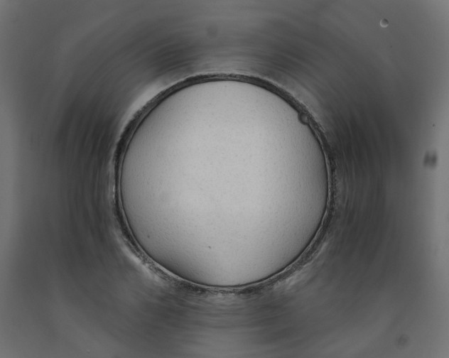 X0000091860982200710031658