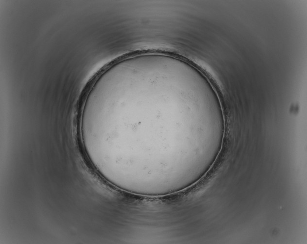 X0000091860983200710031658