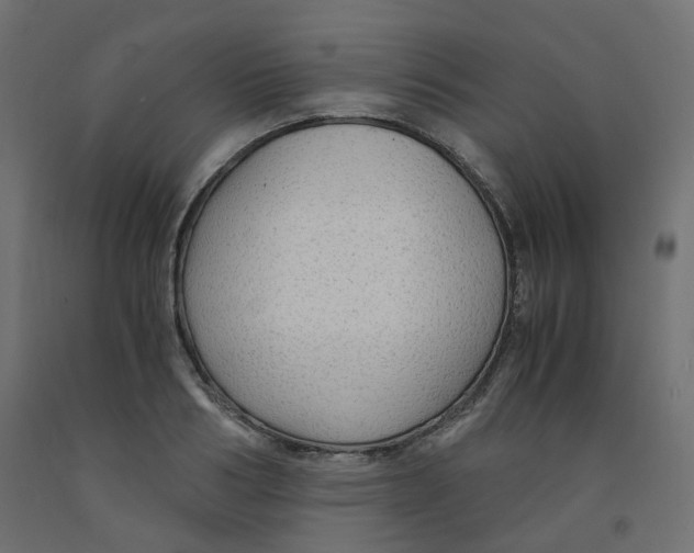 X0000091860986200710031657