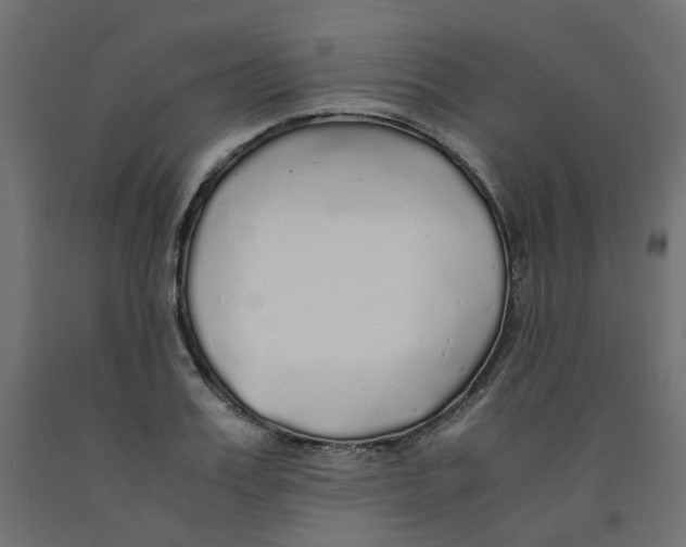 X0000091860987200710031657