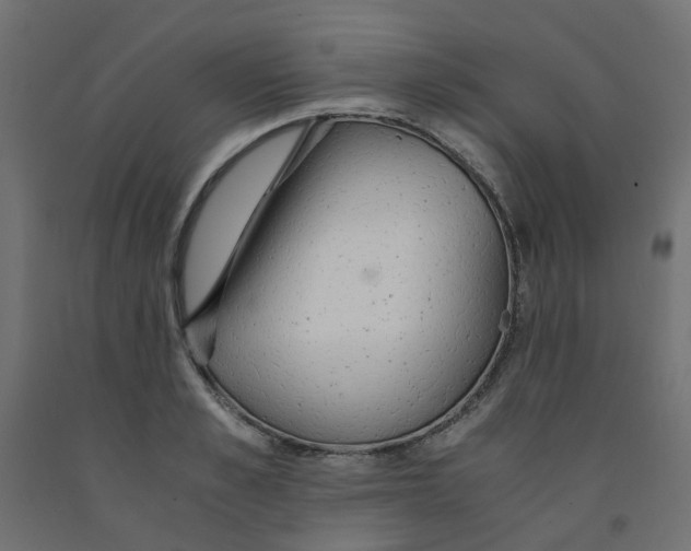 X0000091860989200710031657