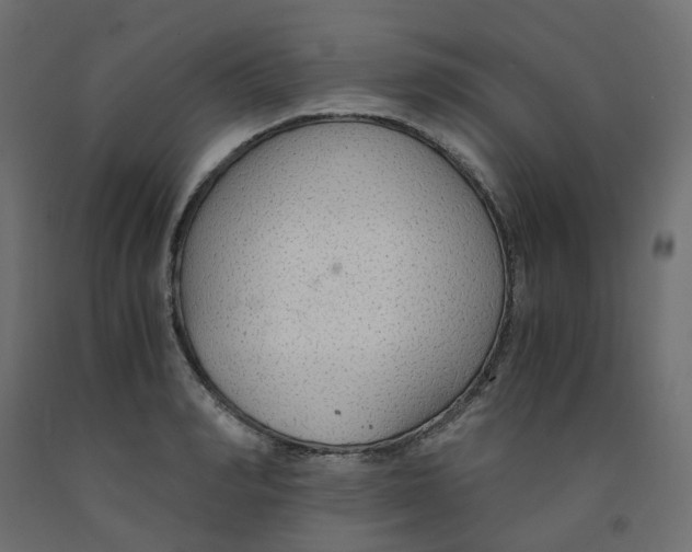 X0000091860990200710031657