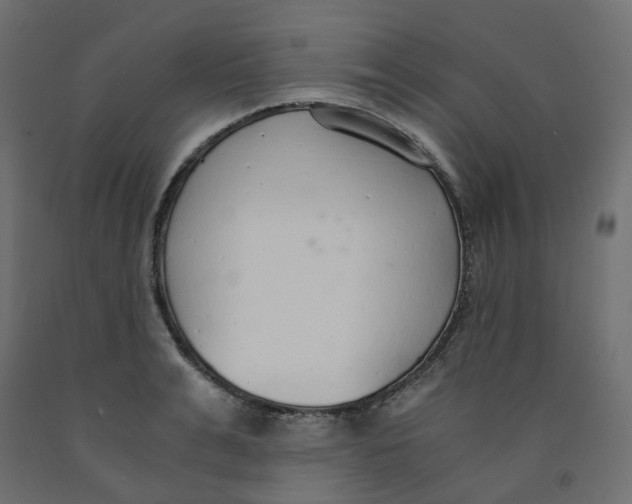 X0000091860991200710031657