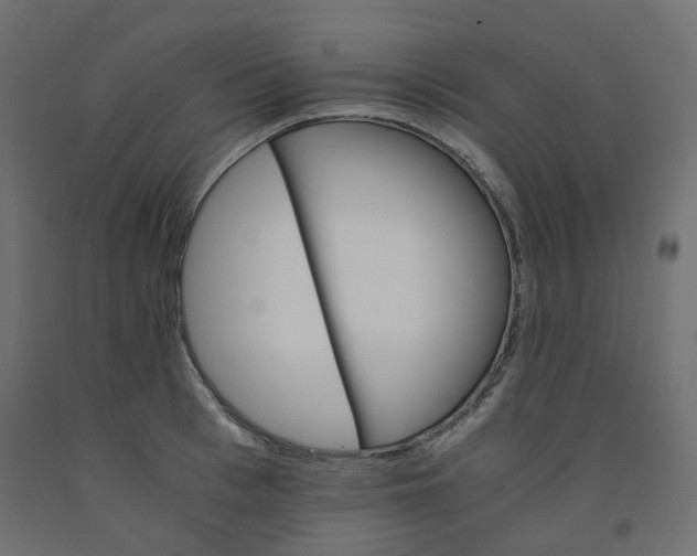 X0000091860993200710031657