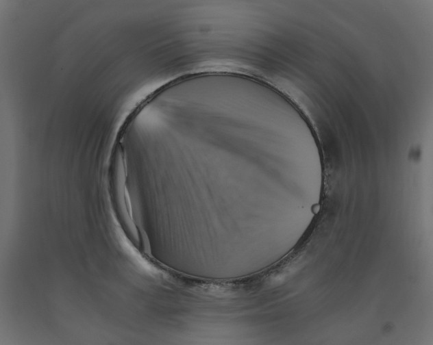 X0000091860995200710031657