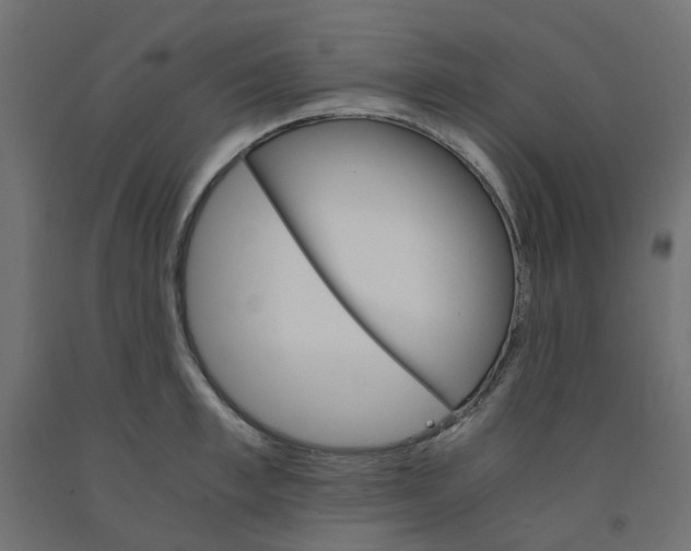 X0000091860997200710031657