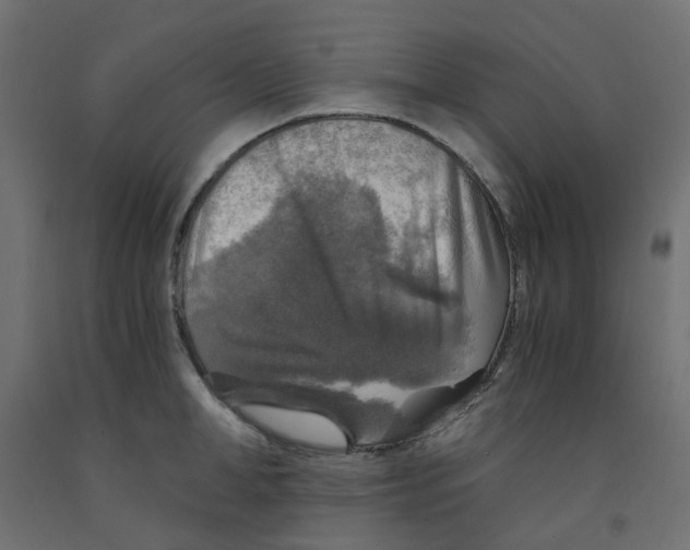 X0000091860998200710031657