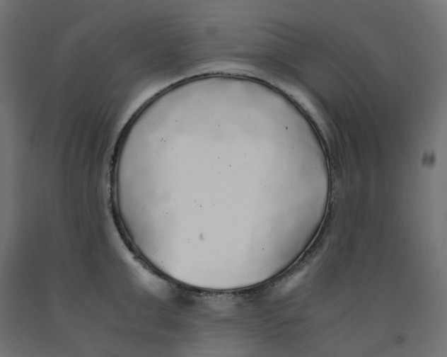 X0000091860999200710031657