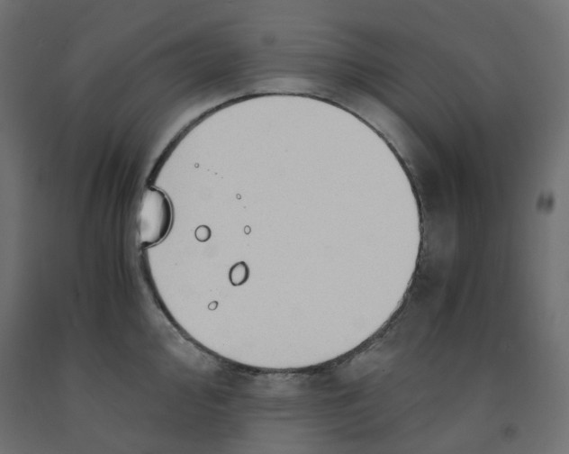 X0000091861000200710031657