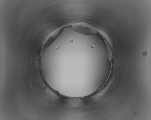 X0000091861001200710031657