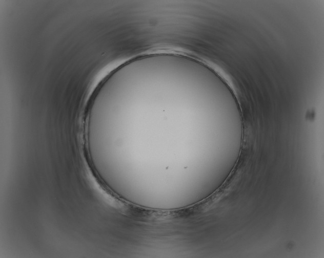 X0000091861003200710031657