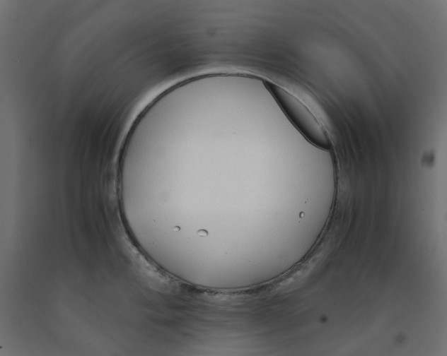 X0000091861004200710031657