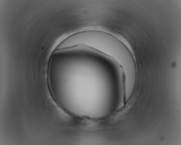 X0000091861005200710031657