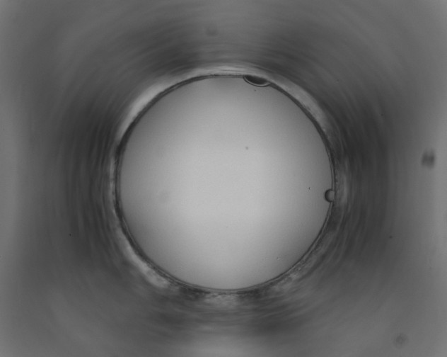 X0000091861006200710031657