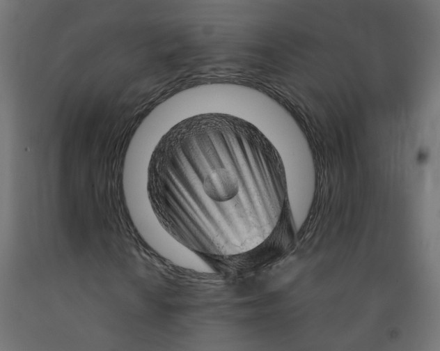 X0000091861010200710031657