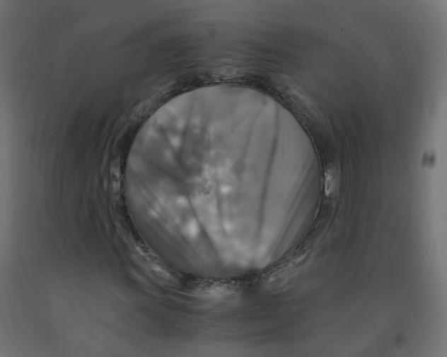 X0000091861011200710031657