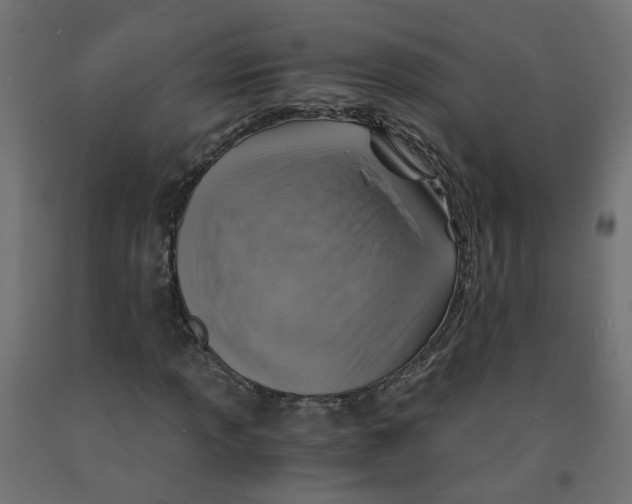 X0000091861013200710031657