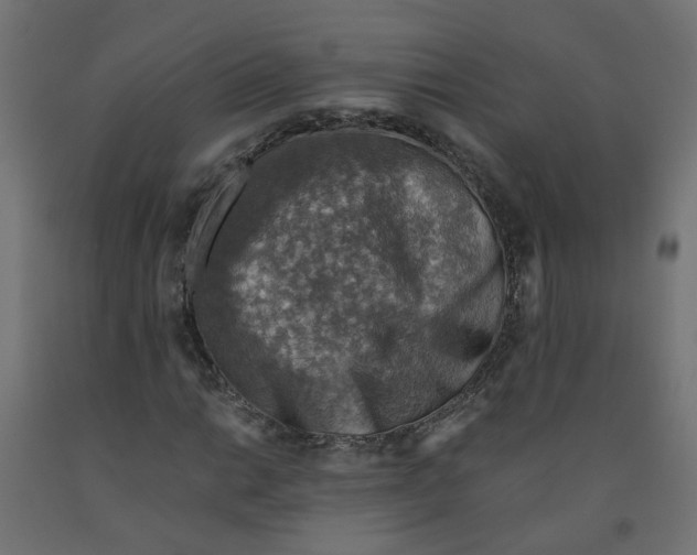 X0000091861014200710031657