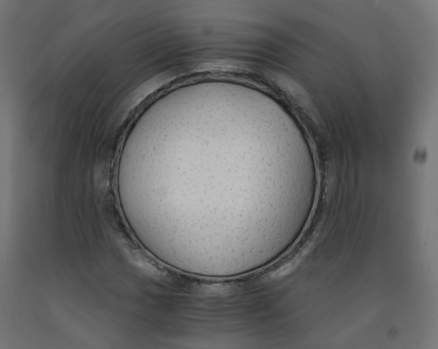 X0000091861017200710031657