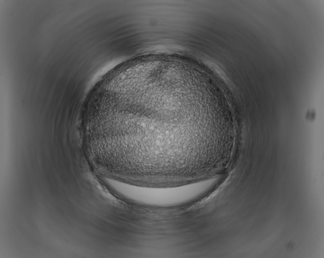 X0000091861018200710031657