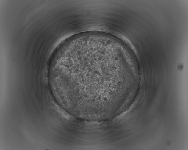 X0000091861019200710031657