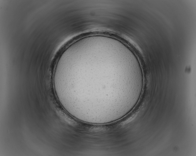 X0000091861021200710031657