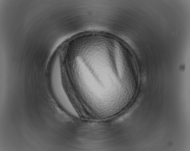 X0000091861022200710031657